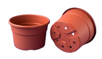 Mezzo Vaso Eleonor Linea Coltivazione 