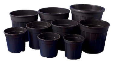 container lessi linea coltivazione 