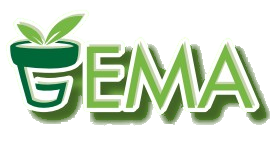 GemaVasi