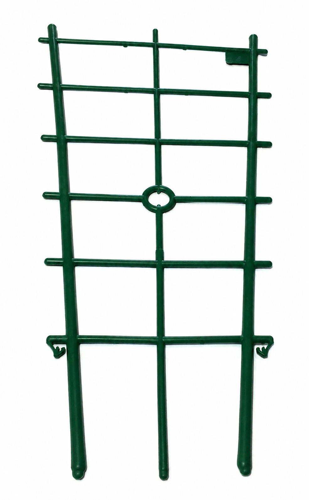 spalliera grande linea coltivazione