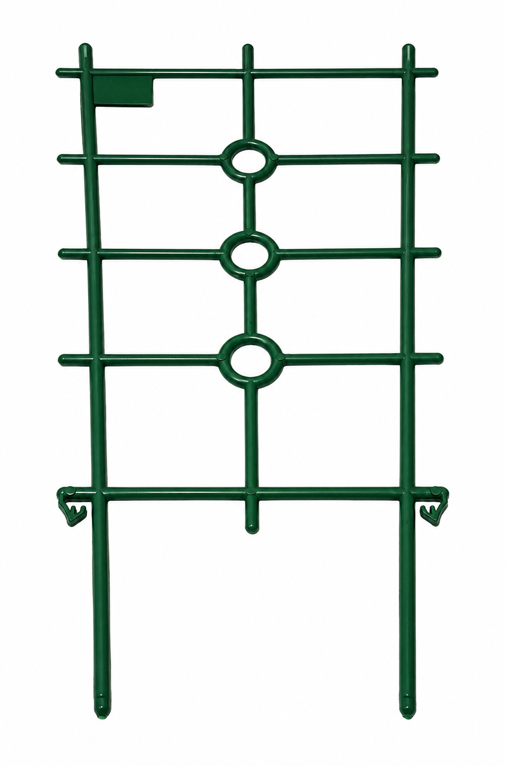 spalliera piccola linea coltivazione
