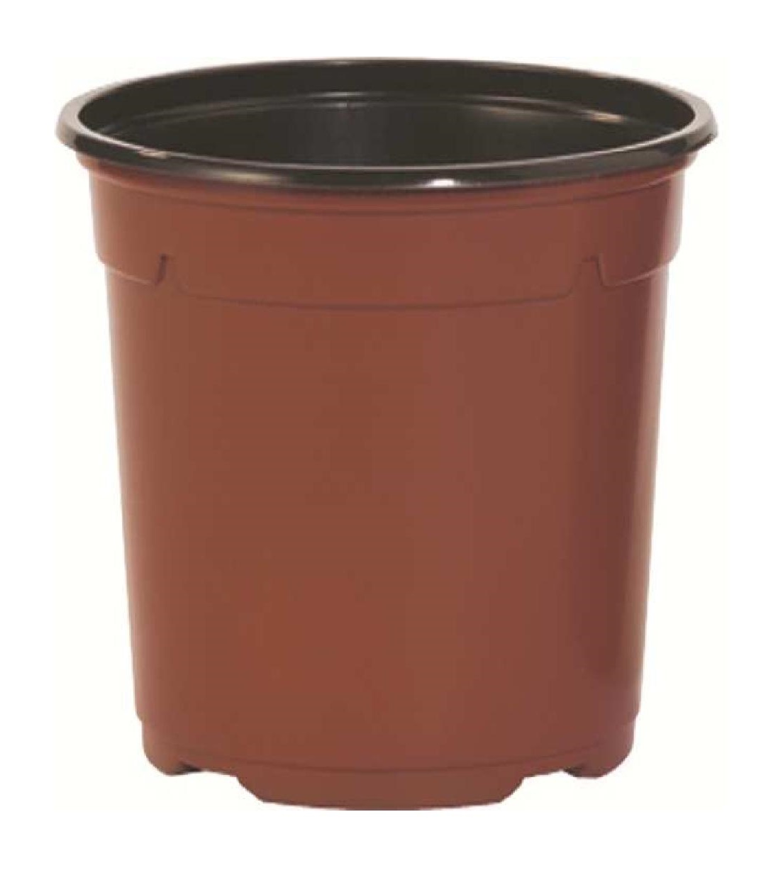 container duo 5° Alto linea coltivazione 