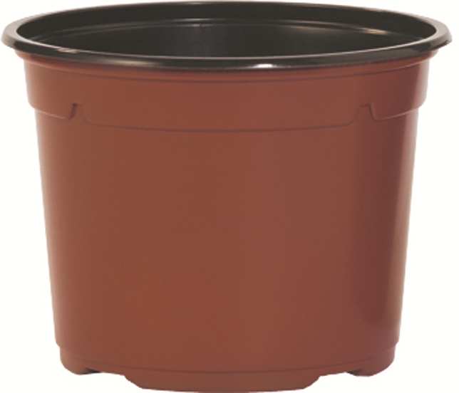 container duo 5° basso linea coltivazione 