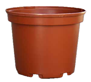 vaso vivaio sx linea coltivazione 
