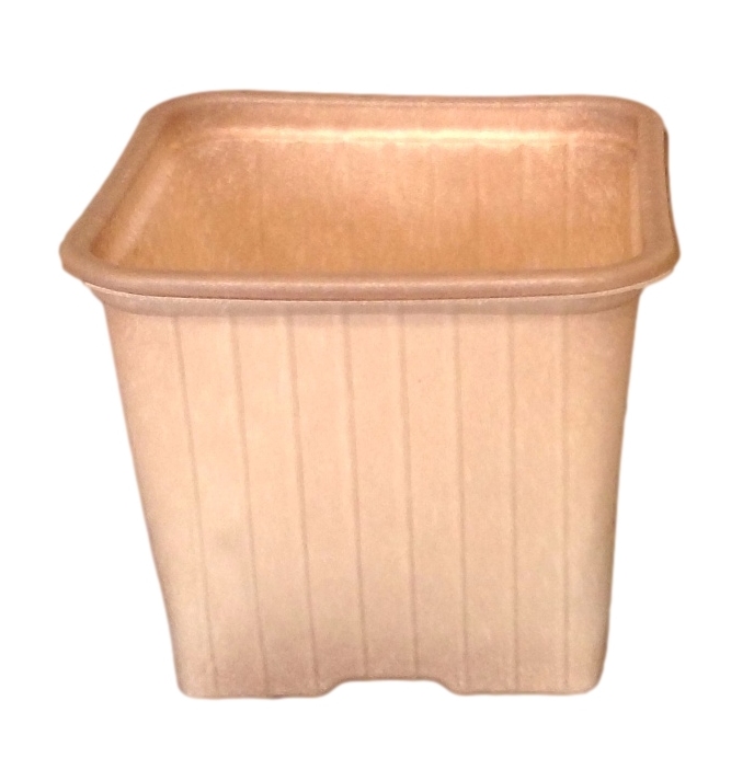 vasetti pn bio linea coltivazione 