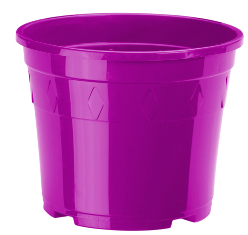 vaso Europa linea coltivazione 