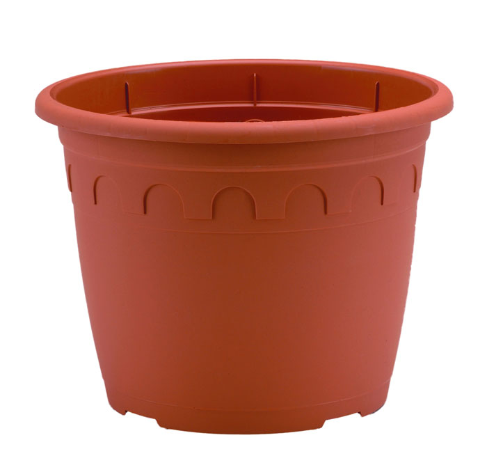 vaso Roma linea coltivazione 