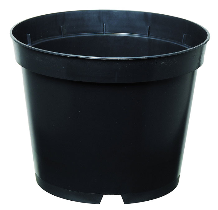 vaso duo 8° linea coltivazione 