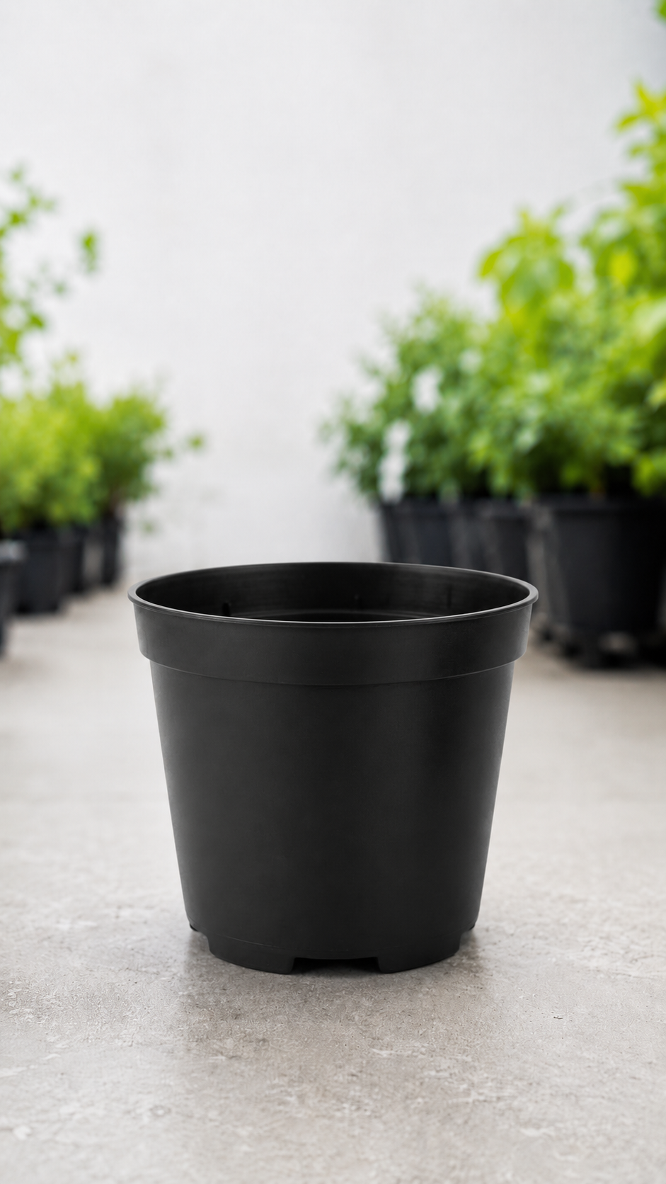 Vaso linea Soparco